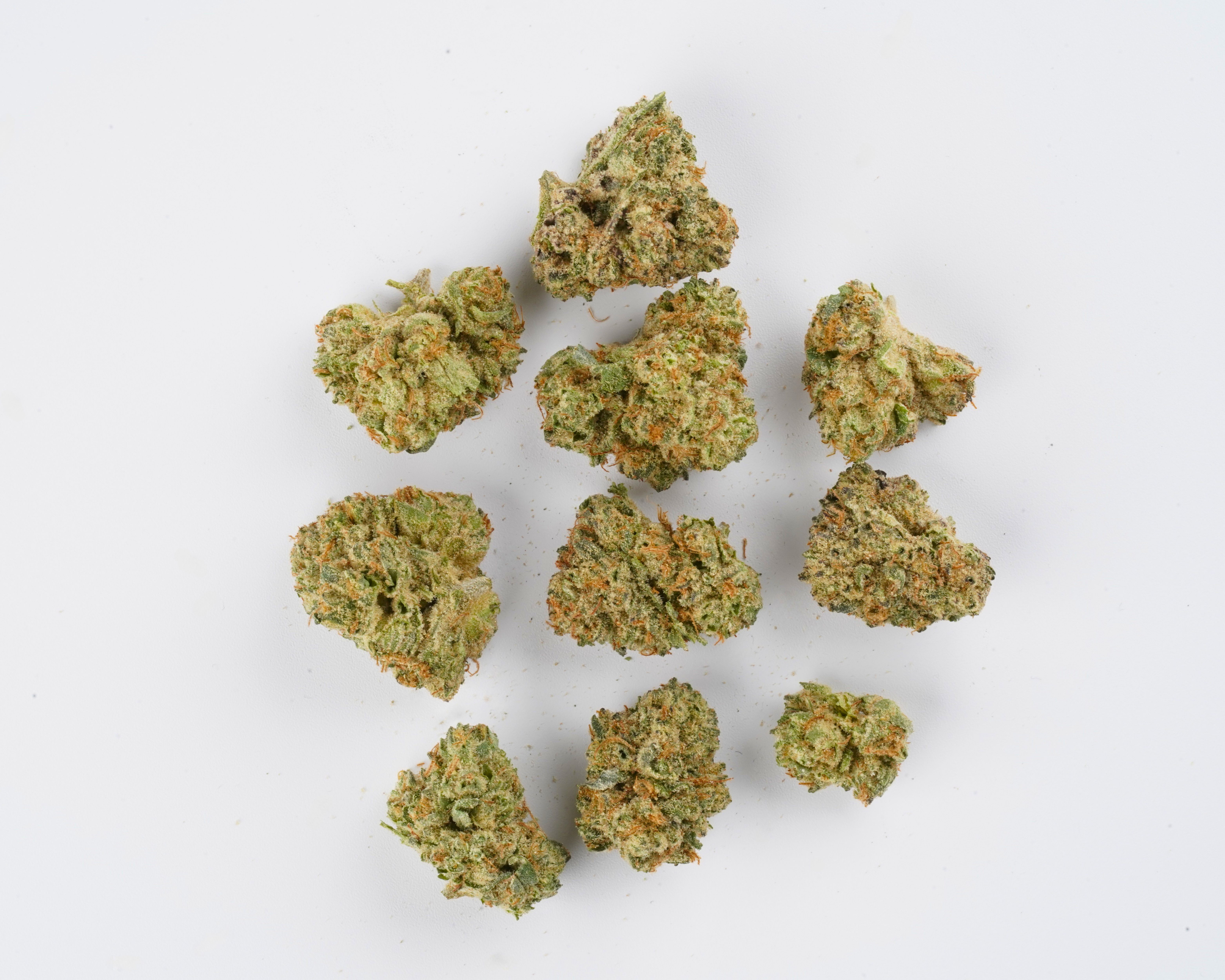 Medicus FC Minis 24/1